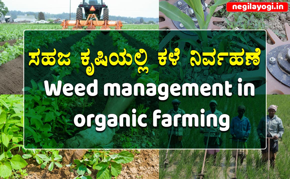 Weed management in organic farming